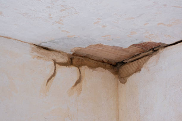 Best Water damage restoration near me  in Wanaque, NJ