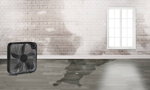 Best Emergency water damage restoration  in Wanaque, NJ