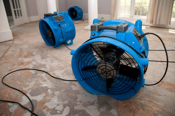 Best Water damage contractors near me  in Wanaque, NJ